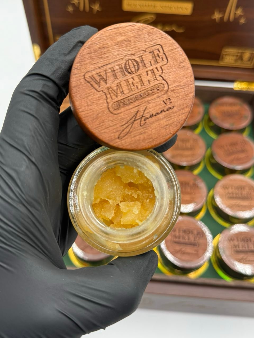Whole Melt Extracts Havana Edition 2026 Full Kit – 16 Exotic Strains Premium Extract Collection Whole Melt Extracts Havana Edition 2026 Full Kit – 16 Exotic Strains Premium Extract Collection
